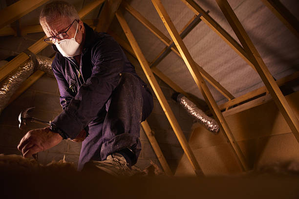 Best Home Insulation Services  in Garden Ridge, TX